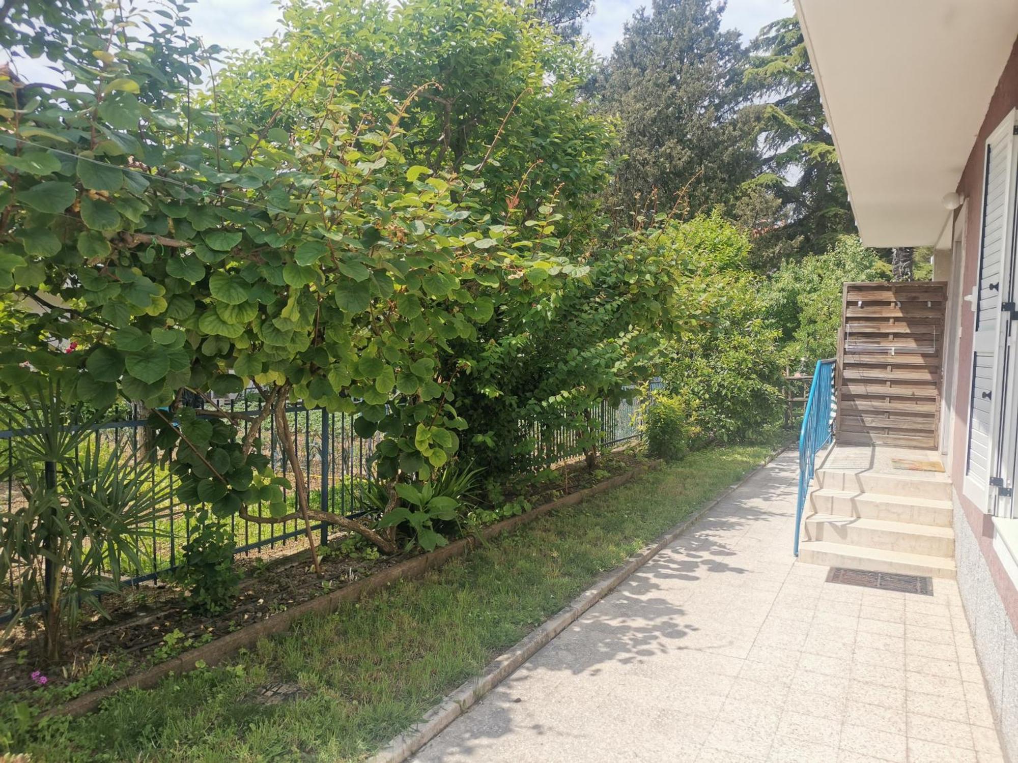 Pri Noni "Istracycle" Apartamento Lucija Exterior foto